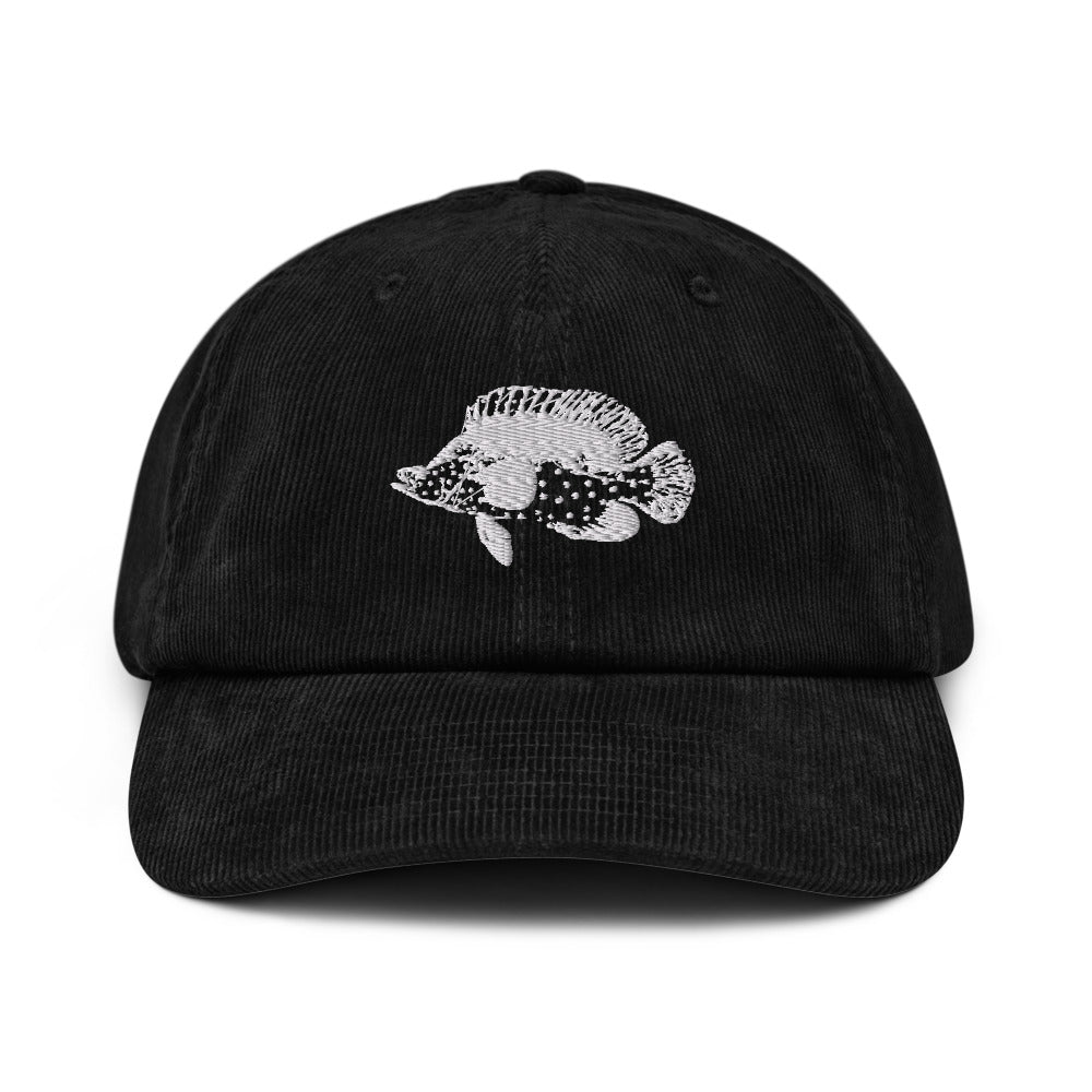 Barramundi cod - Corduroy hat