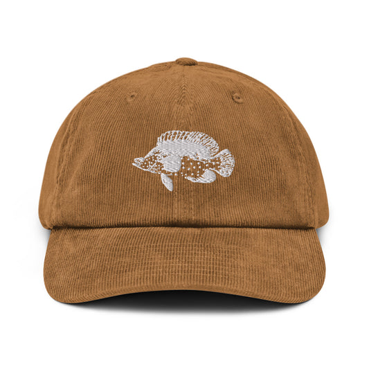 Barramundi cod - Corduroy hat